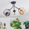 Ripoll Plafondlamp, Kogellampje Amber, Duidelijk, Rookkleurig, 3-lichts