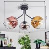 Ripoll Plafondlamp, Kogellampje Chroom, Goud, Duidelijk, Koperkleurig, Rookkleurig, 3-lichts