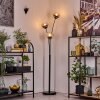 Koyoto Kogellampje, Staande lamp Duidelijk, Rookkleurig, 3-lichts