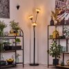 Koyoto Kogellampje, Staande lamp Amber, 3-lichts