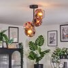 Ripoll Plafondlamp, Kogellampje Duidelijk, Koperkleurig, 4-lichts