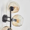 Ripoll Kogellampje, Wandlamp Amber, Duidelijk, 3-lichts