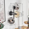 Ripoll Kogellampje, Wandlamp Amber, Duidelijk, Rookkleurig, 3-lichts