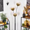 Koyoto Kogellampje, Staande lamp Goud, Duidelijk, 3-lichts