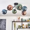 Ripoll Plafondlamp, Kogellampje Blauw, Groen, Koperkleurig, 6-lichts