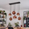 Gastor Hanglamp, Kogellampje, Hanglamp Duidelijk, Koperkleurig, 6-lichts
