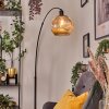 Ripoll Staande lamp, Booglampen Zwart, 1-licht