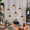 Gastor Hanglamp, Kogellampje, Hanglamp Amber, Duidelijk, 6-lichts