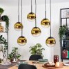 Gastor Hanglamp, Kogellampje, Hanglamp Goud, Duidelijk, 6-lichts