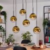 Gastor Hanglamp, Kogellampje, Hanglamp Goud, Duidelijk, 6-lichts