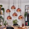 Gastor Hanglamp, Kogellampje, Hanglamp Duidelijk, Koperkleurig, 6-lichts