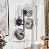Gastor Kogellampje, Wandlamp Duidelijk, Rookkleurig, 3-lichts