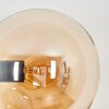 Gastor Kogellampje, Wandlamp Amber, Rookkleurig, 3-lichts