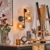 Gastor Kogellampje, Wandlamp Amber, Duidelijk, 3-lichts