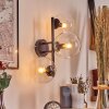 Gastor Kogellampje, Wandlamp Duidelijk, 3-lichts