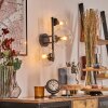 Gastor Kogellampje, Wandlamp Duidelijk, 3-lichts