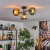 Koyoto Plafondlamp, Kogellampje Blauw, Goud, Groen, 3-lichts