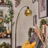 Ripoll Staande lamp Zwart, 1-licht