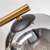 Ripoll Plafondlamp, Kogellampje Goud, Zwart, 3-lichts