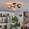 Ripoll Plafondlamp, Kogellampje Goud, Zwart, 3-lichts