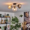 Koyoto Plafondlamp, Kogellampje Goud, Zwart, 3-lichts