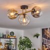 Ripoll Plafondlamp, Kogellampje Goud, Zwart, 3-lichts