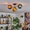 Ripoll Plafondlamp, Kogellampje Goud, Zwart, 3-lichts