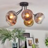 Ripoll Plafondlamp, Kogellampje Goud, Duidelijk, Koperkleurig, Rookkleurig, 5-lichts