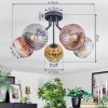 Ripoll Plafondlamp, Kogellampje Goud, Duidelijk, Koperkleurig, Rookkleurig, 5-lichts