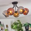 Ripoll Plafondlamp, Kogellampje Chroom, Goud, Koperkleurig, Rookkleurig, 5-lichts