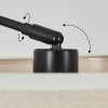 Bassagoda Staande lamp Zwart, 1-licht