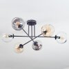 Koyoto Plafondlamp, Kogellampje 78 cm Amber, Duidelijk, Rookkleurig, 6-lichts
