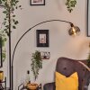 Ripoll Staande lamp Zwart, 1-licht