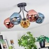 Ripoll Plafondlamp, Kogellampje Blauw, Goud, Koperkleurig, 5-lichts