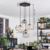 Koyoto Hanglamp, Kogellampje, Cluster hanglamp Amber, Duidelijk, Rookkleurig, 4-lichts Koyoto Hanglamp, Kogellampje, Cluster hanglamp Amber, Duidelijk, Rookkleurig, 4-lichts