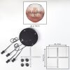 Ripoll Hanglamp, Kogellampje, Cluster hanglamp Duidelijk, Koperkleurig, 4-lichts