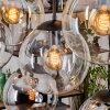 Gastor Hanglamp, Kogellampje, Hanglamp Amber, Chroom, Duidelijk, Rookkleurig, 8-lichts