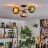 Koyoto Plafondlamp, Kogellampje Goud, Zwart, 3-lichts