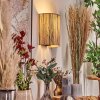 Viadores Licht omhoog & omlaag, Wandlamp Zwart, Wit, 1-licht