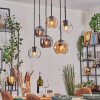 Ripoll Hanglamp, Kogellampje, Hanglamp Amber, Duidelijk, Rookkleurig, 6-lichts