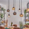 Ripoll Hanglamp, Kogellampje, Hanglamp Amber, Duidelijk, Rookkleurig, 6-lichts