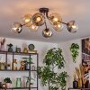 Koyoto Plafondlamp, Kogellampje 85 cm Amber, Duidelijk, Rookkleurig, 8-lichts