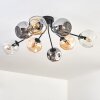 Ripoll Plafondlamp, Kogellampje Amber, Duidelijk, Rookkleurig, 8-lichts