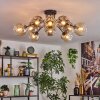 Ripoll Plafondlamp, Kogellampje Amber, Duidelijk, Rookkleurig, 10-lichts