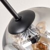 Ripoll Plafondlamp, Kogellampje Amber, Duidelijk, Rookkleurig, 10-lichts