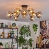 Ripoll Plafondlamp, Kogellampje Amber, Duidelijk, Rookkleurig, 10-lichts