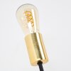 Gnarp Tafellamp Goud, Zwart, 1-licht