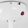 Hausvik plafondventilator Bruin, Wit, 1-licht, Afstandsbediening