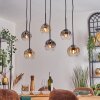 Ripoll Hanglamp, Kogellampje, Hanglamp Amber, Duidelijk, Rookkleurig, 6-lichts