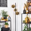 Ripoll Kogellampje, Staande lamp Goud, 3-lichts